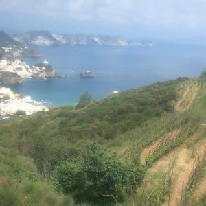 Meet your Posher, Richard